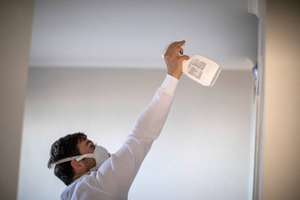 Best DIY Mold Remediation Support Services in Forest Lake, IL
