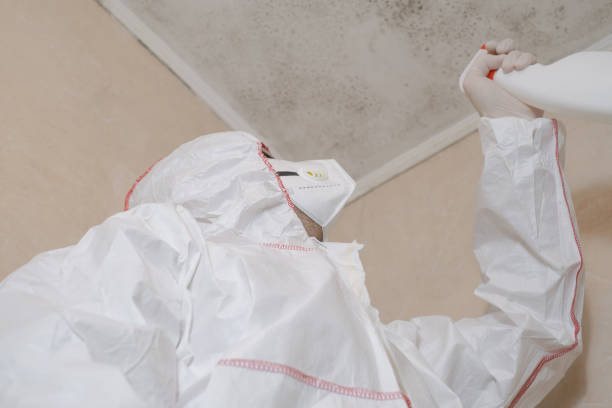 Best Crawl Space Mold Remediation in Forest Lake, IL
