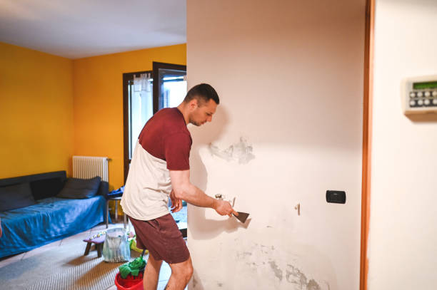 Best Localized Mold Remediation (e.g., coastal areas, humid climates) in Forest Lake, IL